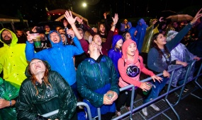 HOOMSTOCK