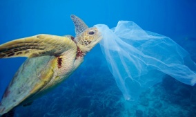 Greenpeace protiv plastike za jednokratnu upotrebu